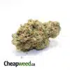 Cherry Cream
