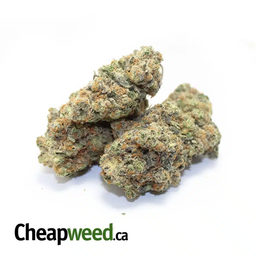 Alternative view of Cherry Cream