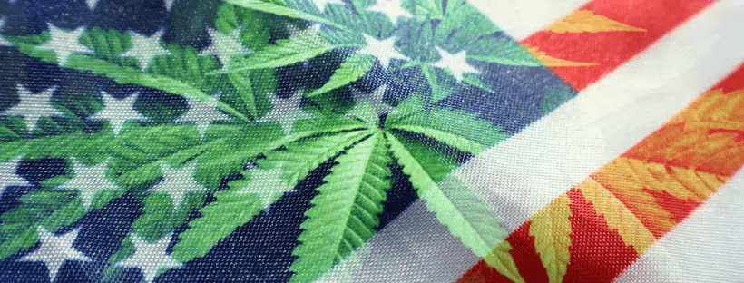 Current Legalization Status in the United States