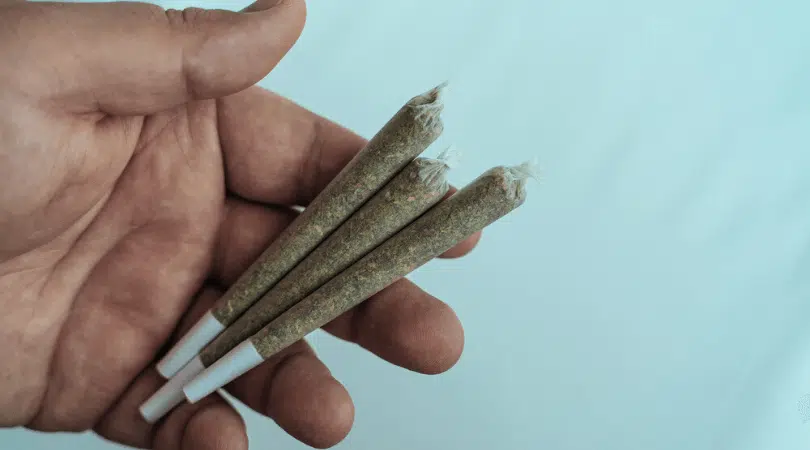How to Roll a Marijuana Joint