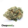 Kosher - *Small Buds*