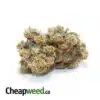 Napolean AAAA+ (Ounce)