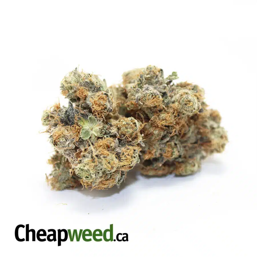 Napolean AAAA+ (Ounce)