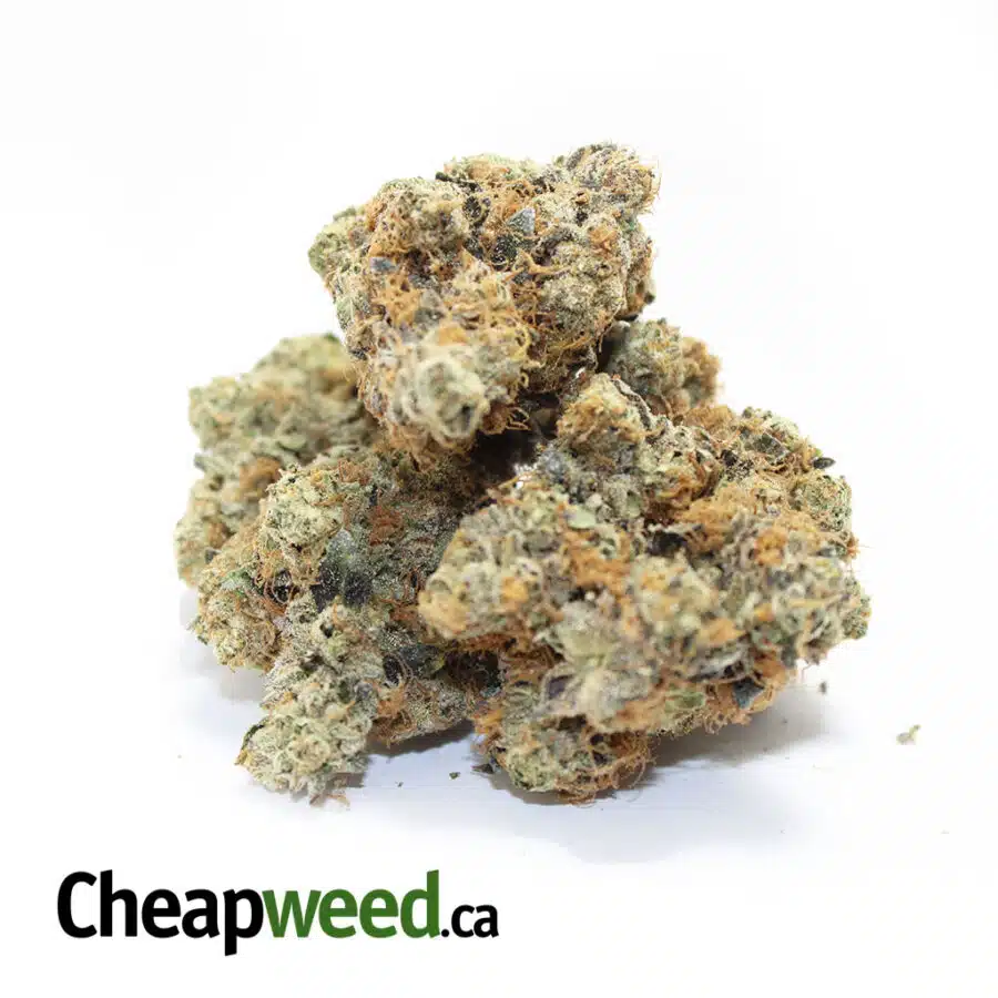 Alternative view of Napolean AAAA+ (Ounce)