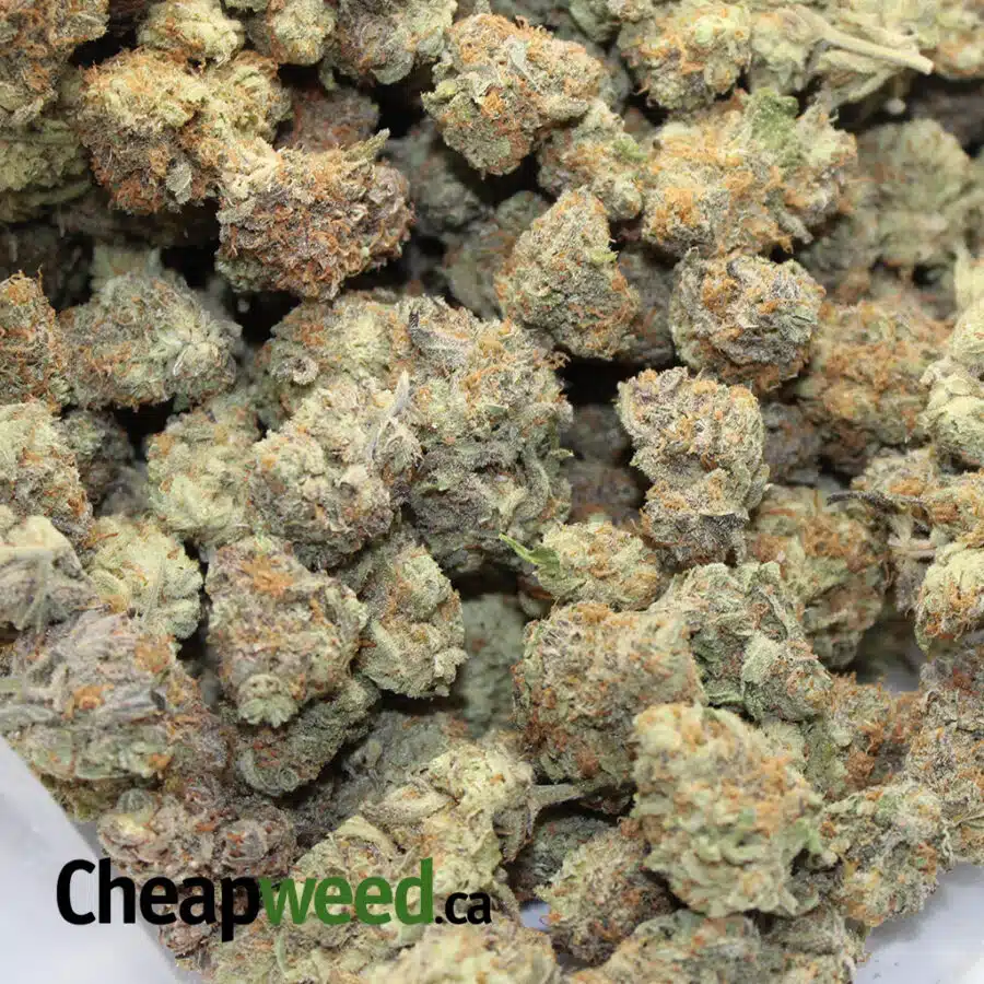 SOUR SKITTLES 1 I Sour Skittlez AAAA+ (Ounce)