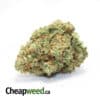 Super Lemon Head - *Deal of the Day*