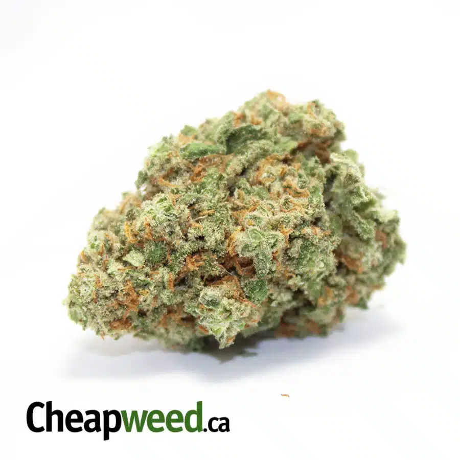 Super Lemon Head - *Deal of the Day*