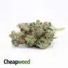 Topanga Canyon OG