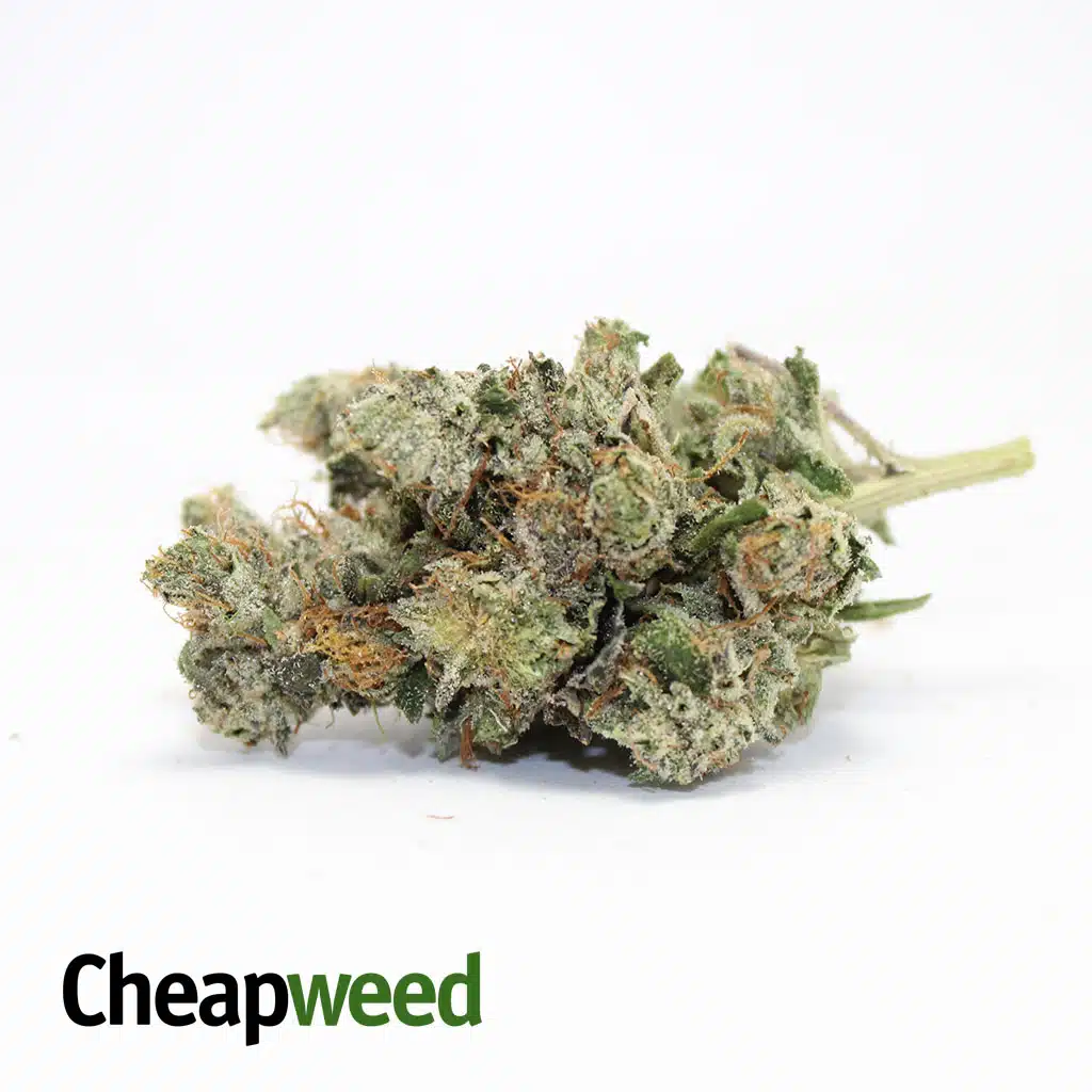 Topanga Canyon OG