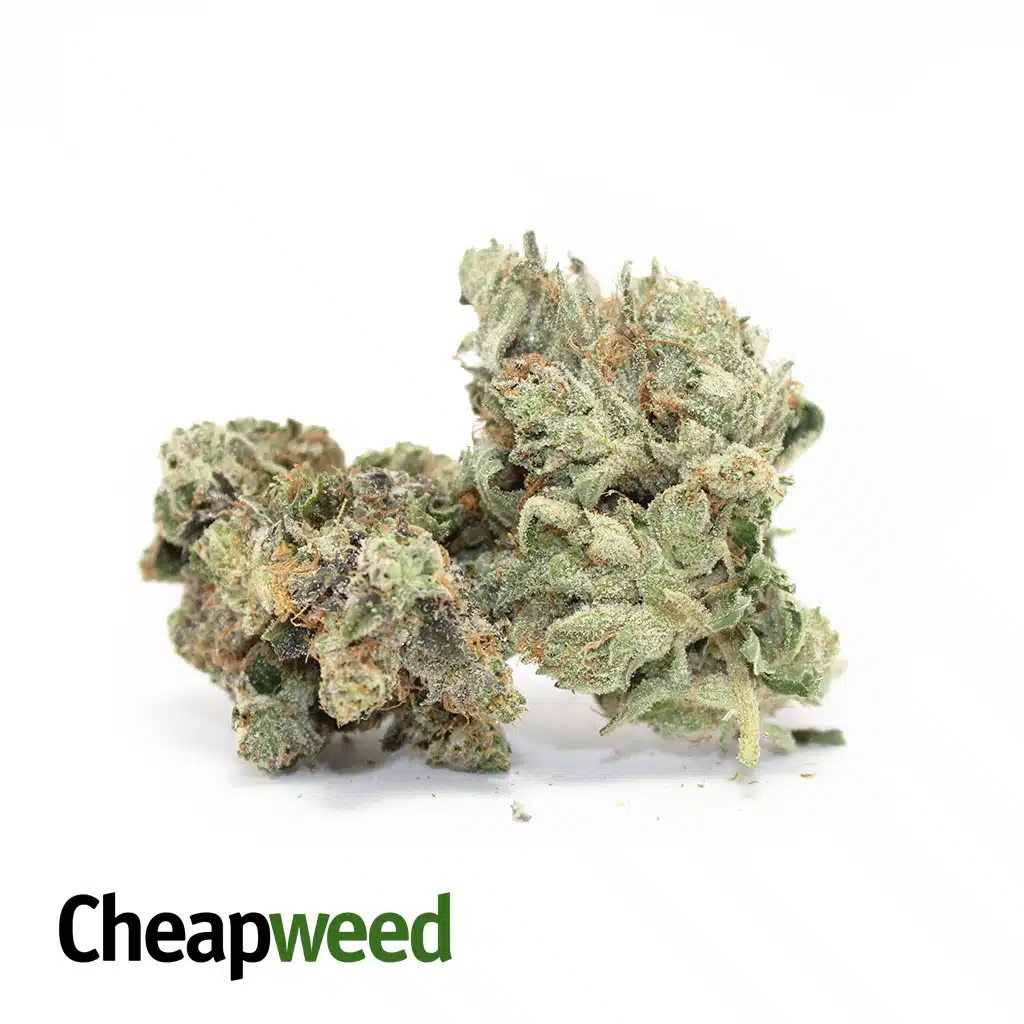 Topanga Canyon OG - Image 2