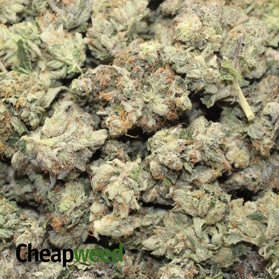 Topanga Canyon OG - Image 3
