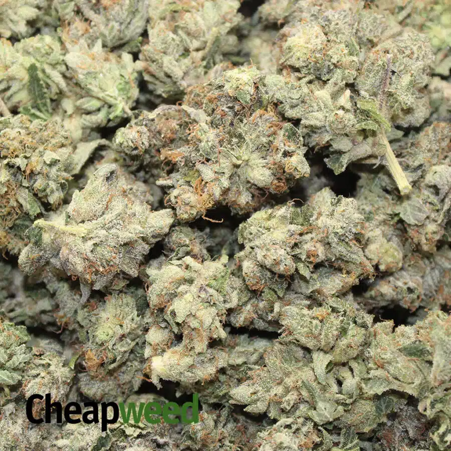 TOPANGA 3 I Topanga Canyon OG