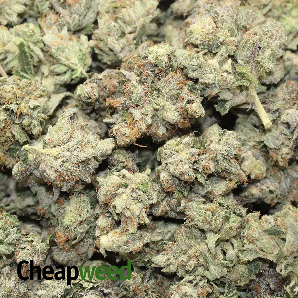 Topanga Canyon OG - Image 3