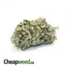 Cheap Purple Hindu Kush