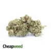 Real GG #6 AAAA+ (Ounce)