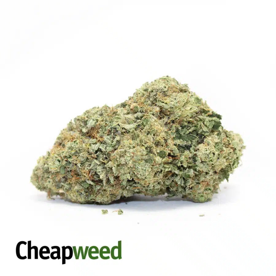 $600 QP - London Poundcake AAAA+