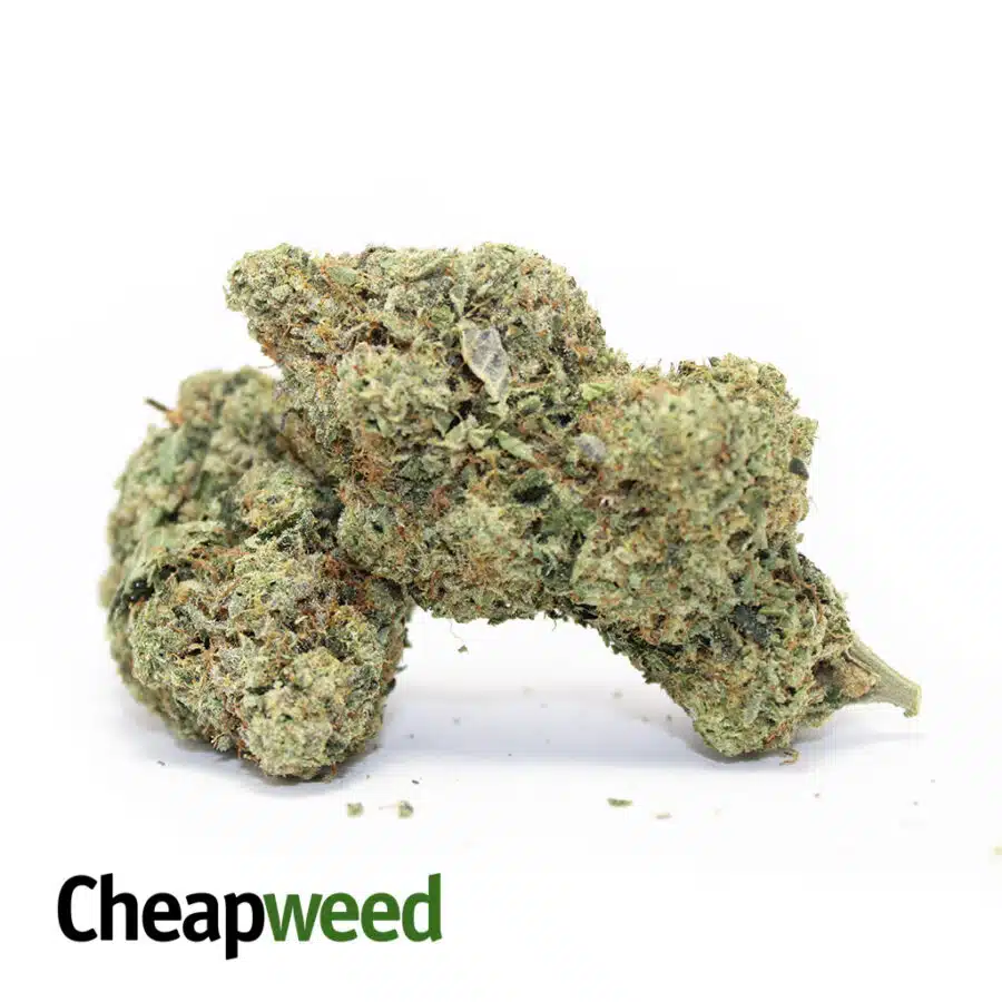 Alternative view of $600 QP - London Poundcake AAAA+