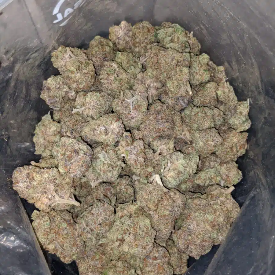miracle cookies 4 I Miracle Cookies