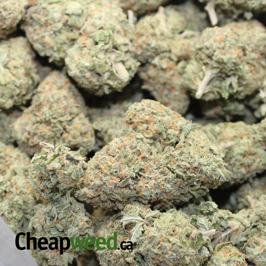Organic Alaskan Thunderfuck - Image 3