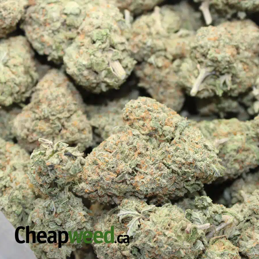 organic ATF 3 I Organic Alaskan Thunderfuck