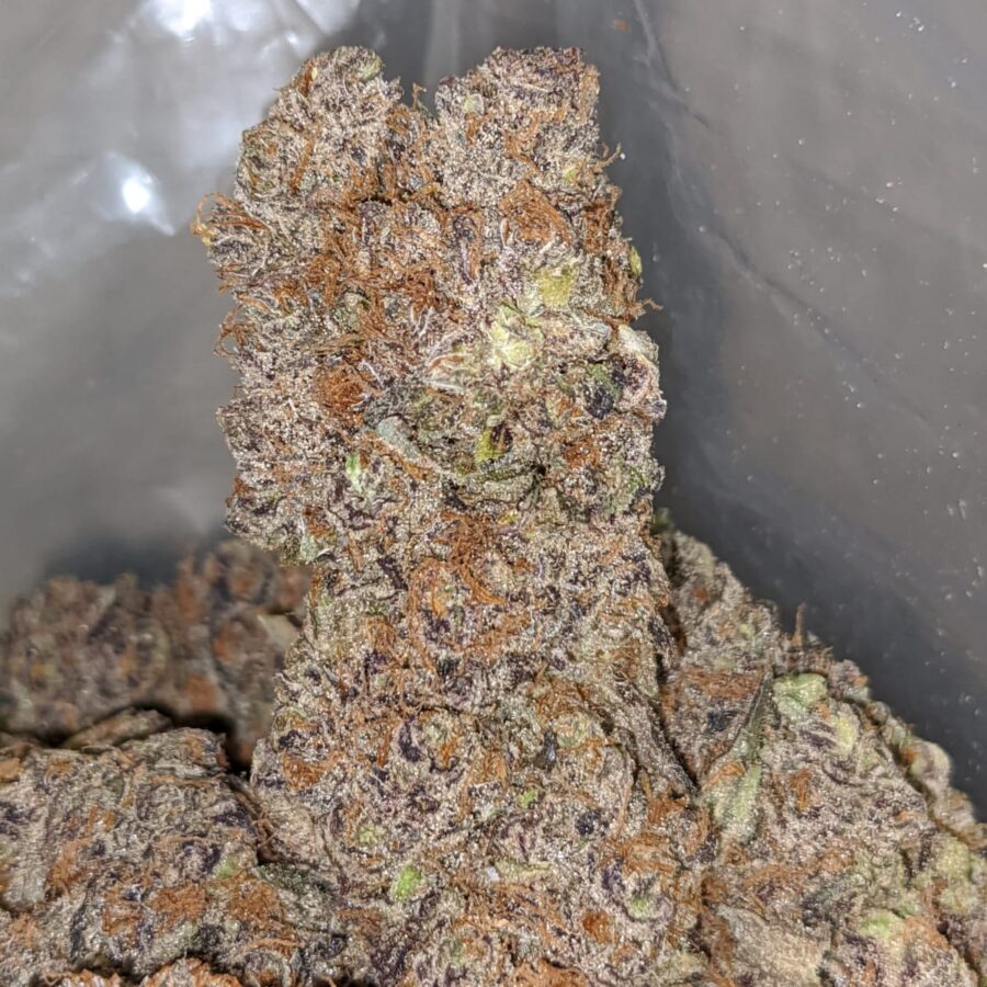 purple skunk aaa 2 I Purple Skunk AAA
