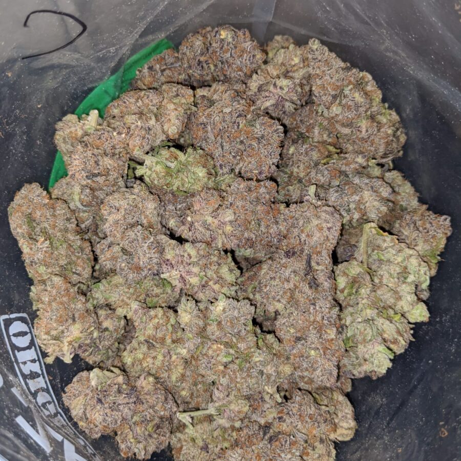 purple skunk aaa 4 I Purple Skunk AAA