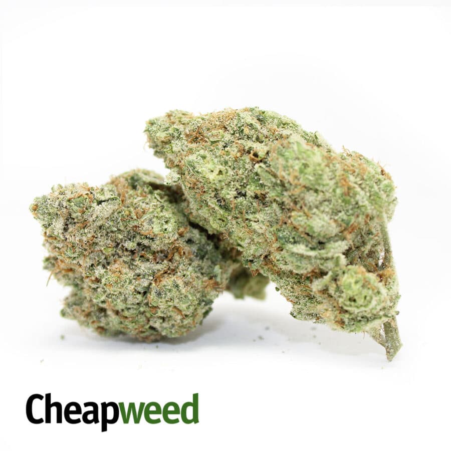 sour tangie 2 I Sour Tangerine AAAA+ (Ounce)