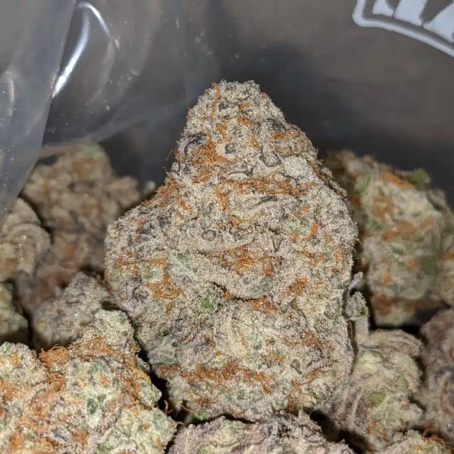 strawberry sherbert 1 I Strawberry Sherbert