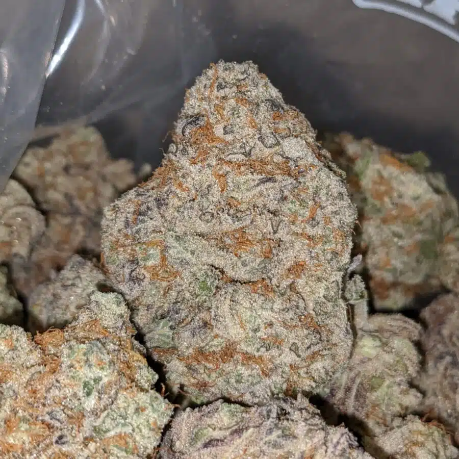 strawberry sherbert 2 I Strawberry Sherbert