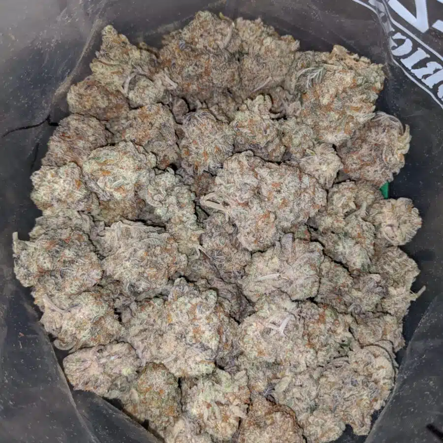 strawberry sherbert 3 I Strawberry Sherbert
