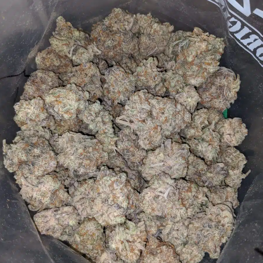strawberry sherbert 4 I Strawberry Sherbert
