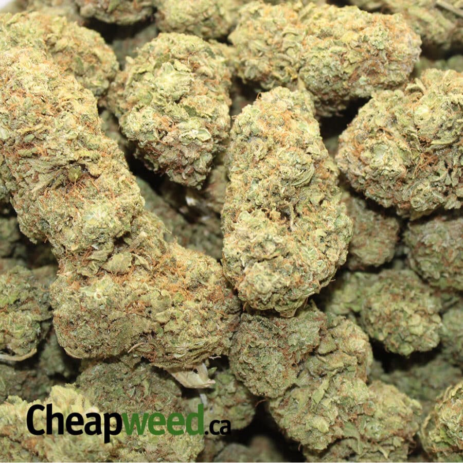 Super Lemon Acid - Image 2