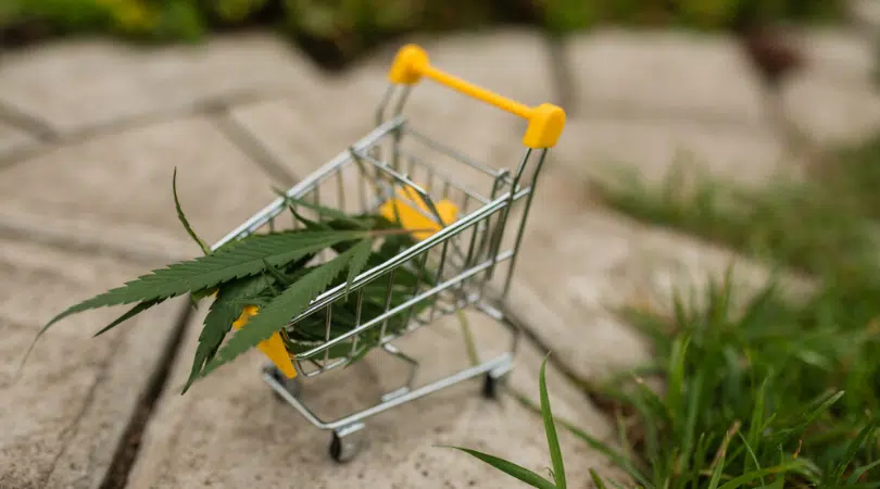 Is Buying Weed Online Safe
