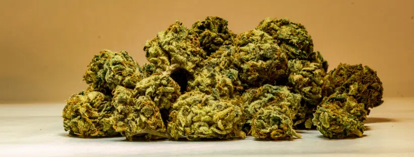Pineapple Express