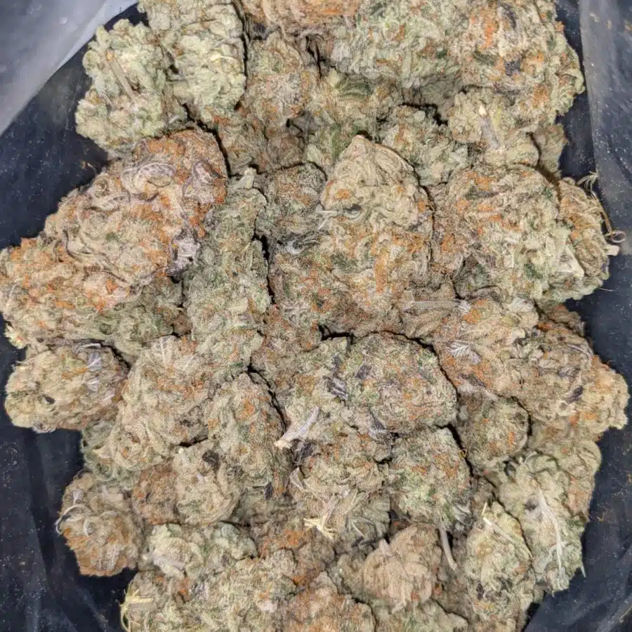 UK CHEESE 1 I $160 Oz - UK Cheese AAAA