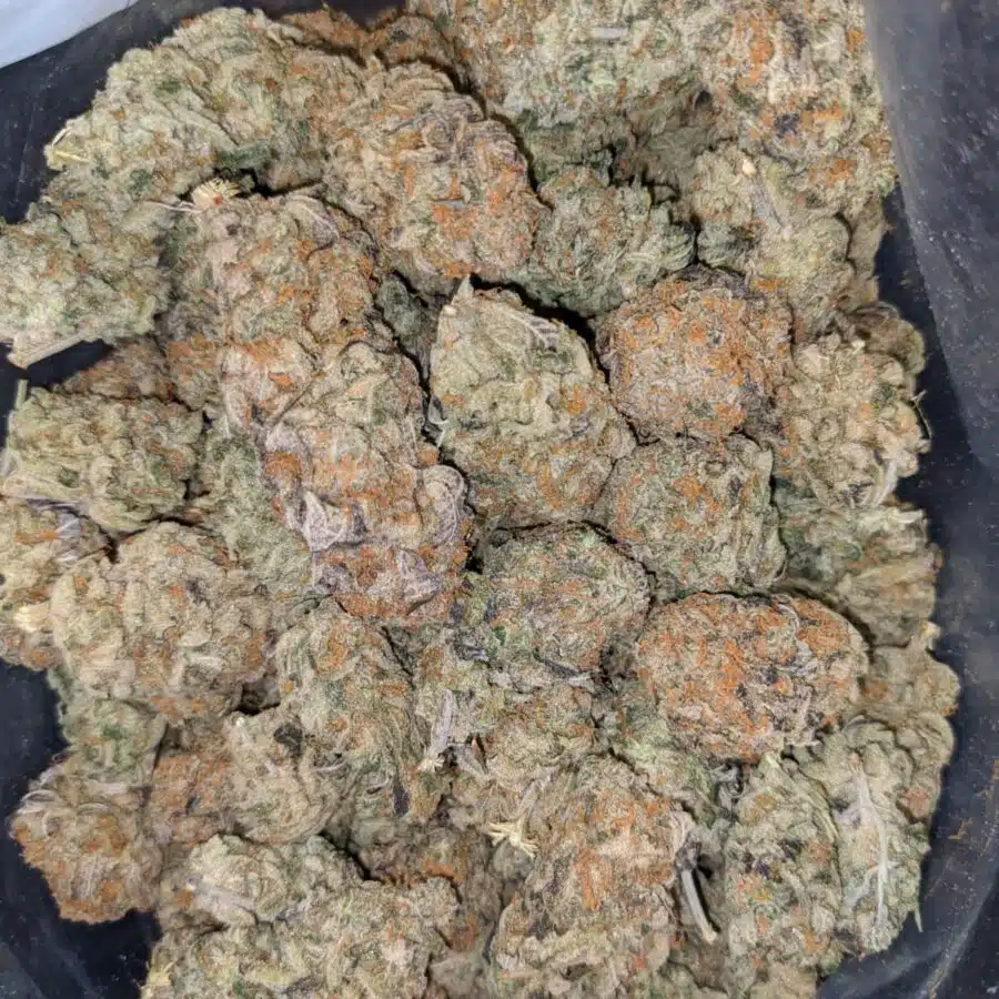 UK CHEESE 3 I $160 Oz - UK Cheese AAAA