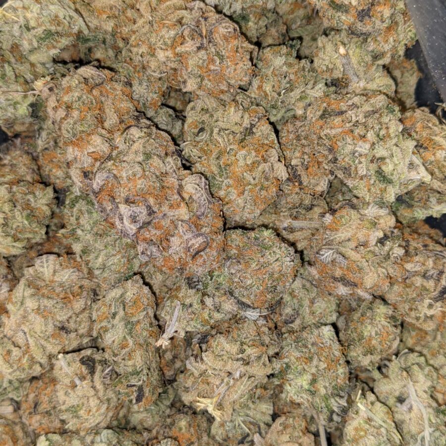UK CHEESE 4 I $160 Oz - UK Cheese AAAA