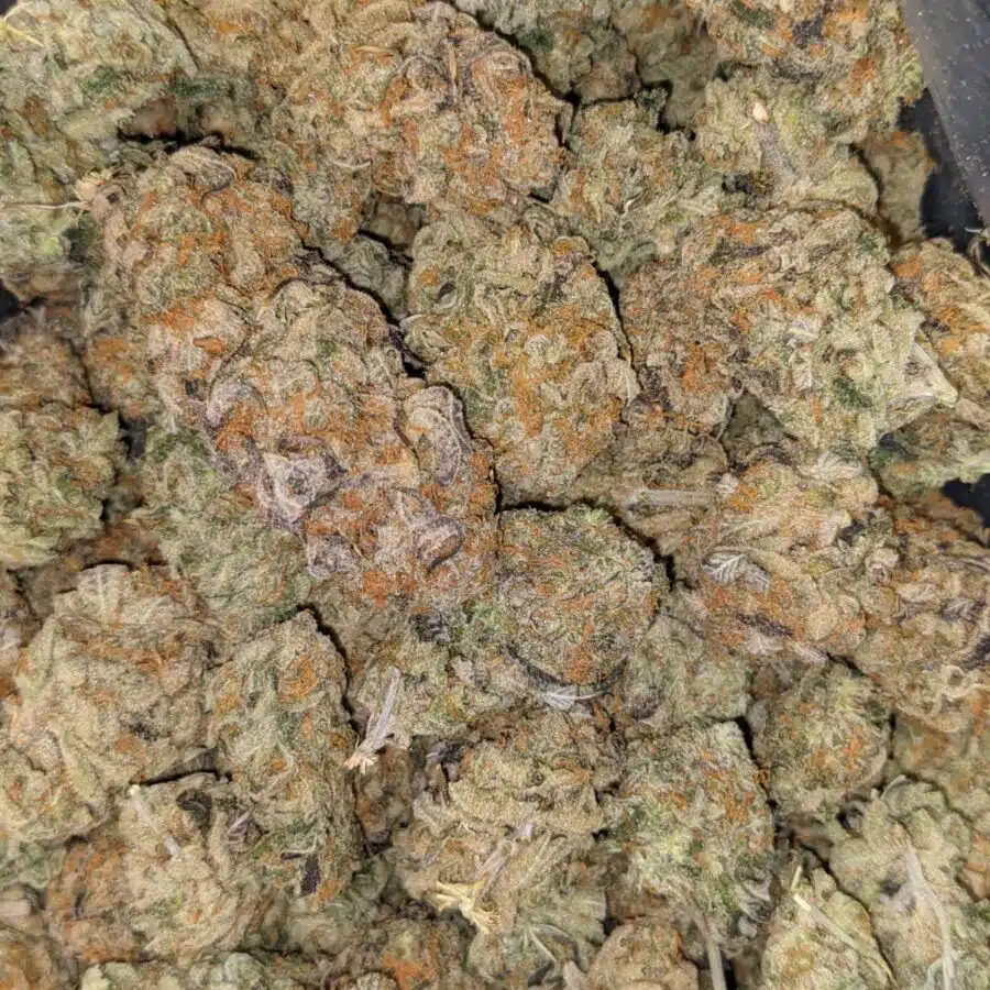 UK CHEESE 4 I $160 Oz - UK Cheese AAAA