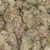 $160 Oz - UK Cheese AAAA