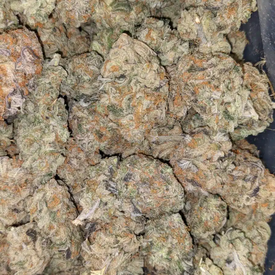 UK CHEESE 6 I $160 Oz - UK Cheese AAAA