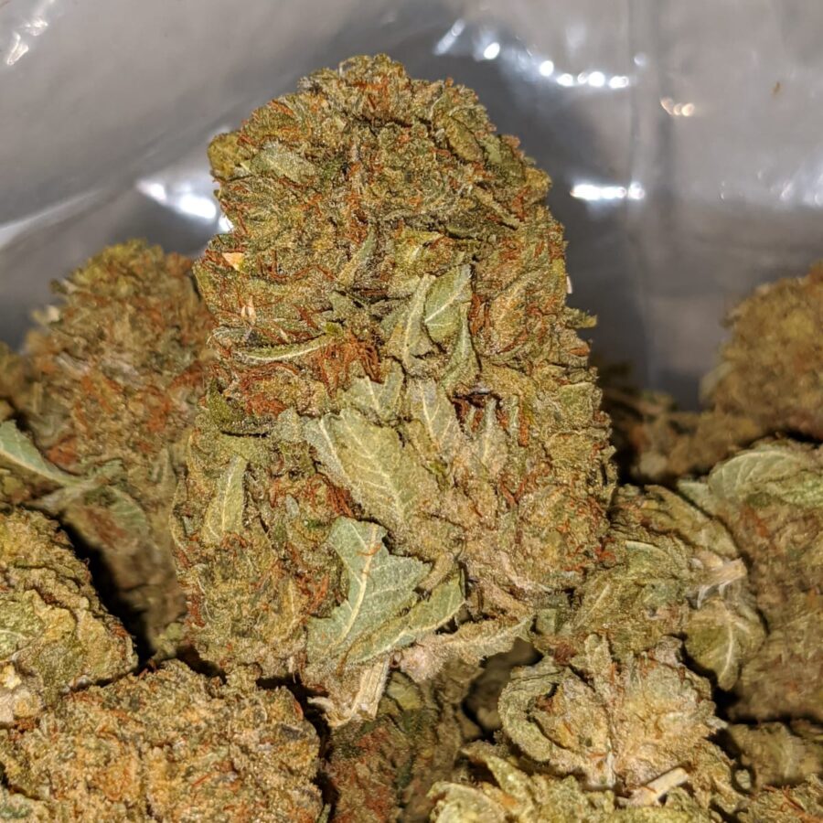 kush bomb dod 1 I Kush Bomb - *Deal Of The Day*