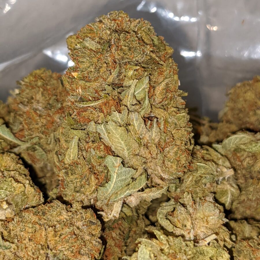 kush bomb dod 2 I Kush Bomb - *Deal Of The Day*