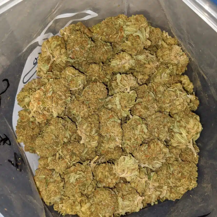 kush bomb dod 4 I Kush Bomb - *Deal Of The Day*