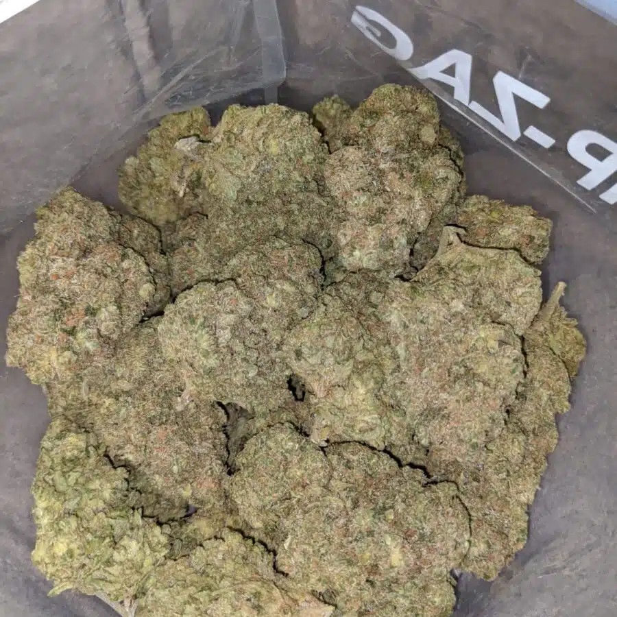 FORUM CUT GIRL SCOUT COOKIES 1 I Forum Cut Girl Scout Cookies