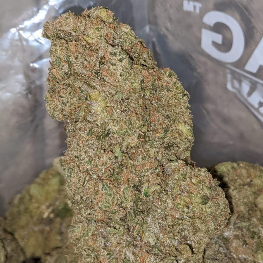 Forum Cut Girl Scout Cookies - Image 7