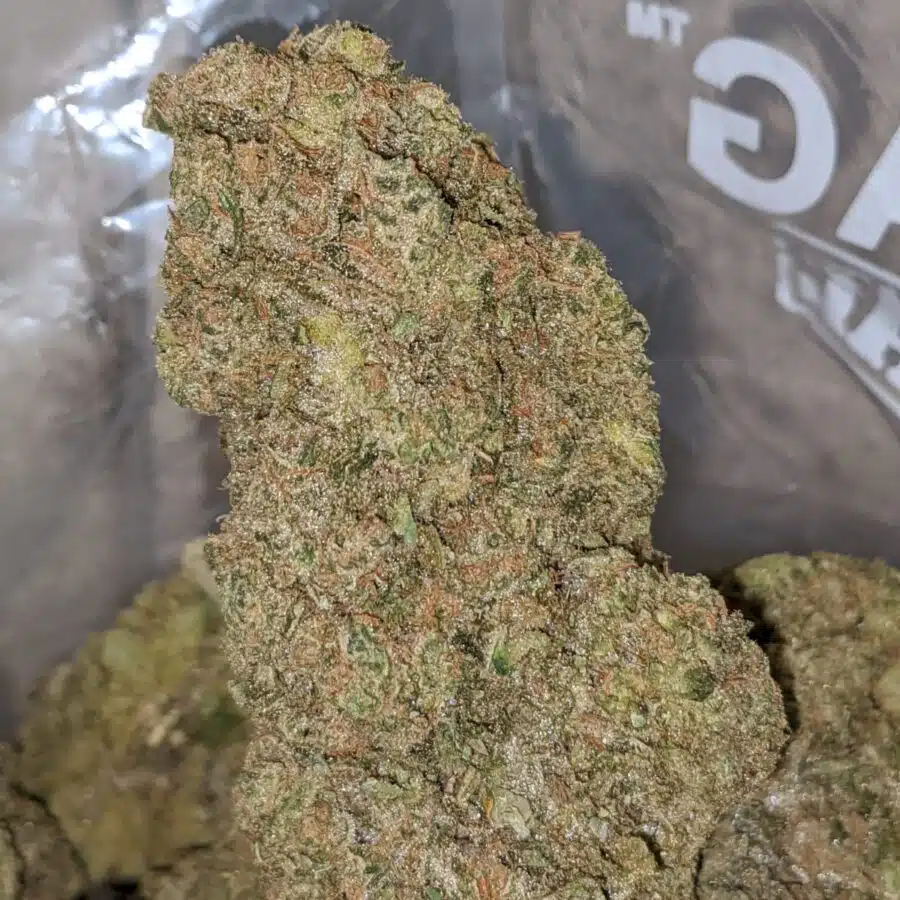 FORUM CUT GIRL SCOUT COOKIES 2 I Forum Cut Girl Scout Cookies