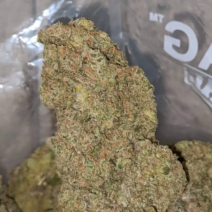 FORUM CUT GIRL SCOUT COOKIES 3 I Forum Cut Girl Scout Cookies
