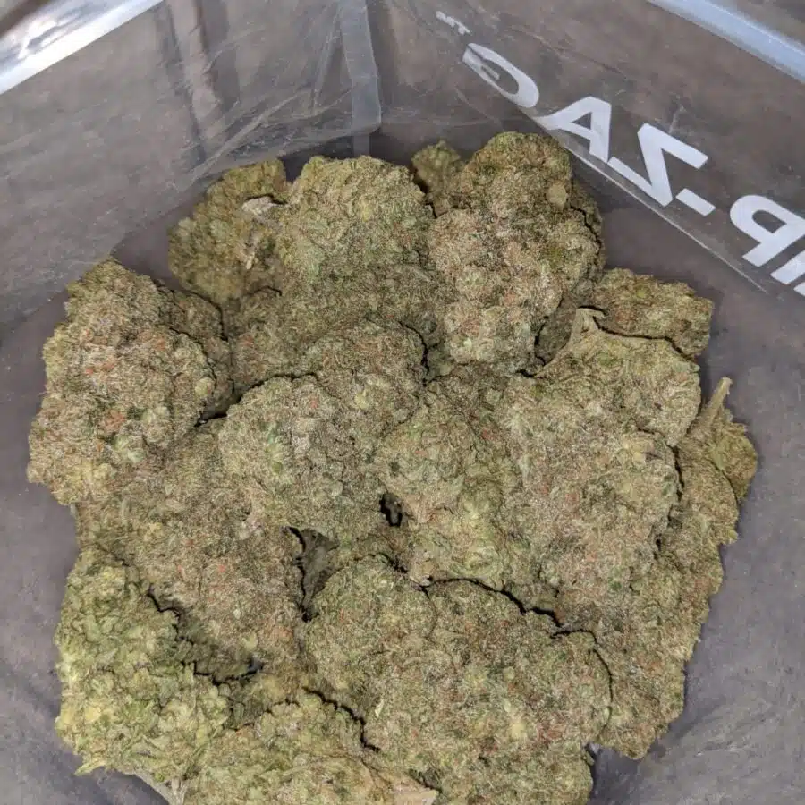 FORUM CUT GIRL SCOUT COOKIES 4 I Forum Cut Girl Scout Cookies
