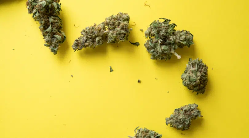 Super Kush Strain Review