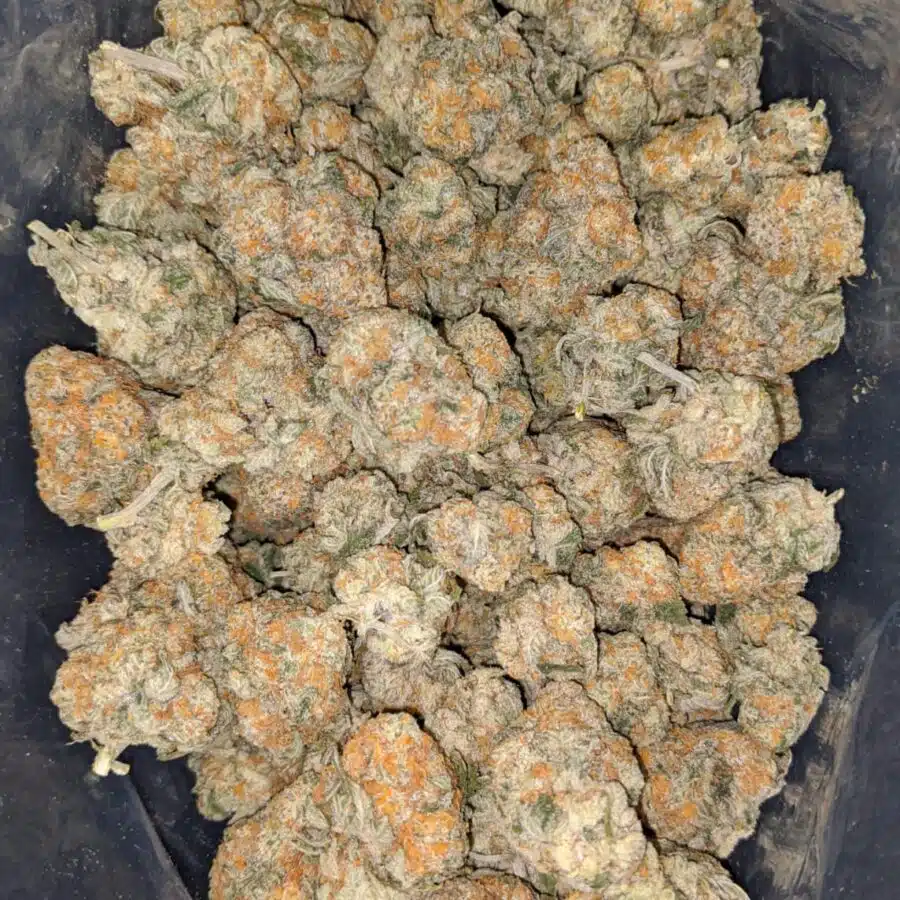 sour og 1 I Sour OG